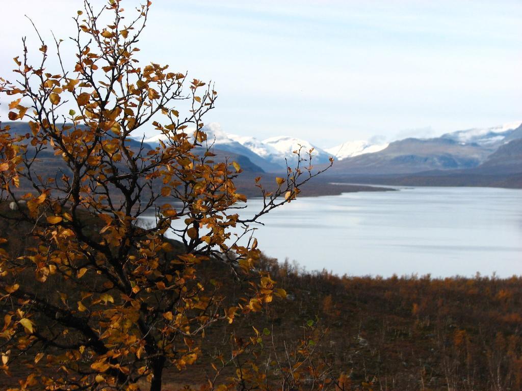 Galdotieva-Seo Villa Leppajarvi Luaran gambar